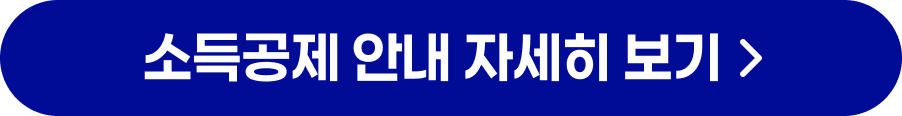 소득공제 안내 자세히 보기 버튼
